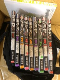 すげぇーぞ【鬼滅の刃】　☆上野☆