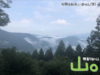 神様が現れた。夏２０１９。