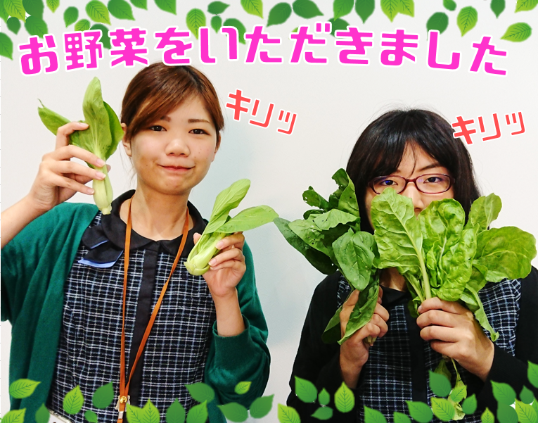 野菜と新保と、時々辻。