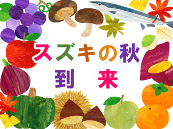 スズキの秋到来