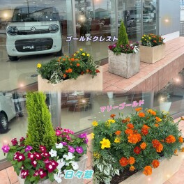 お花