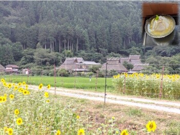 ★久しぶりに集合！(⌒∇⌒)新入社員★配属後研修★
