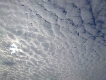 本日の空