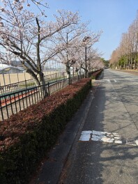 暖かくなって参りました！！