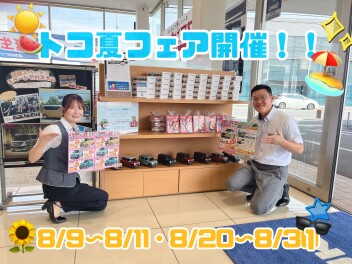 トコ夏フェア開催します！！！
