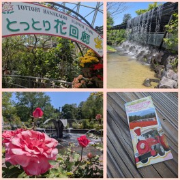 とっとり花回廊