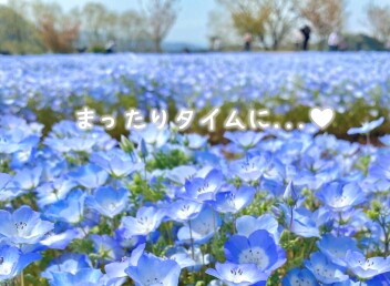 おうち時間に...