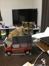 イベント開催まで４日です！