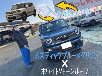 お越しください！！