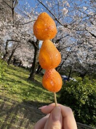 臨時休業のお知らせ