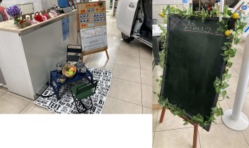 春のディスプレイコンテスト!＆ぬりえ報告