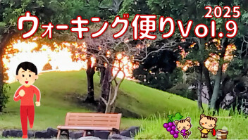 ウォーキング便り 2025 Ｖｏｌ.9