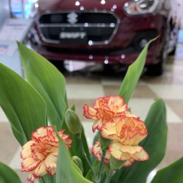 お花を飾りました③