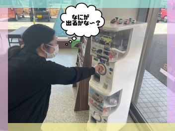 ガチャガチャ到着しました！