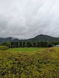 「ちまいる」のぬいぐるみです！！