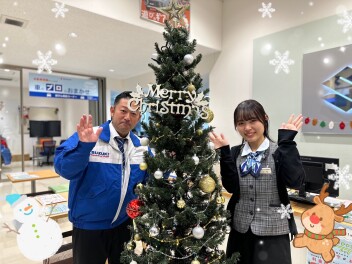 店内にクリスマスツリー出現！！