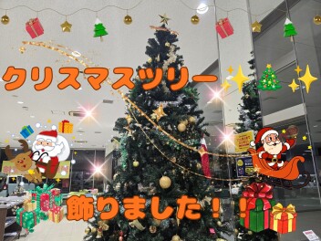 ✿１２月です✿クリスマスツリーを飾りました♪♪