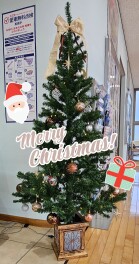 もうすぐクリスマスです！