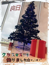 クリスマスツリー飾りました☆ミ