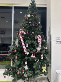 スズキ先行初売りフェア実施致します！