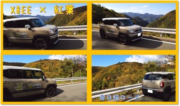 パワフルなクロスビー、紅葉とコラボレーション♪