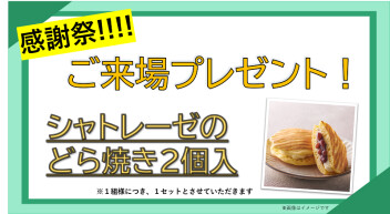 !!!! 2025年感謝祭 !!!!