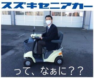 セニアカーってこんな乗り物です。
