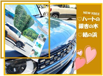 【NEWクロスビー】諫早の「ハートの銀杏の木」に出没…！？(*'▽')