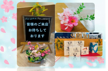 春仕様に飾り付けしました☆