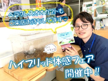 暑い夏はスズキで試乗体験( *´艸｀)°˖✧