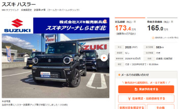 ハスラータフワイルド