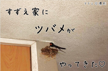 ＃本日から営業スタートです!!