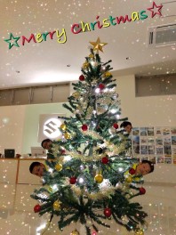 クリスマスツリー点灯☆・・・・おや？おやおや？何かがいる？