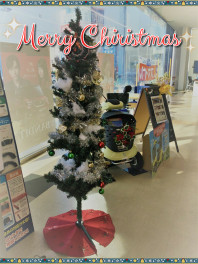 Shingu★Christmas