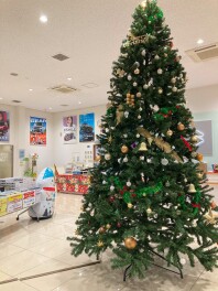 『スズキの日』は16日まで！！！