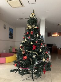 ぜひご試乗ください！＆ツリー出現！！