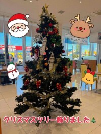 クリスマス仕様になりました！