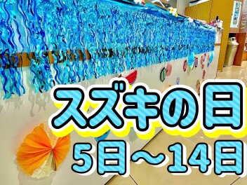 ７月5日からスズキの日！