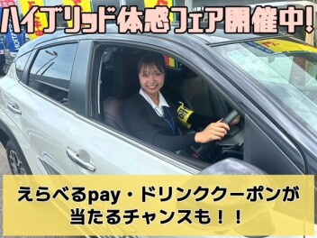 ハイブリッド体験フェア開催中！！