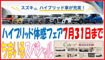 ７月最後の週末商談会です！