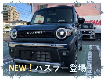 新しくなったハスラー！？