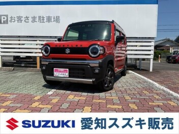 ハスラー　タフワイルド　入りました