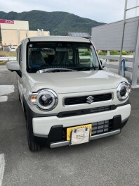 かわいいハスラー