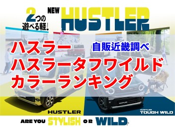 【カラーランキング】NEW ハスラー・ハスラータフワイルド※スズキ自販近畿調べ