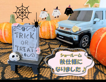 ★秋らしく模様替えしました★