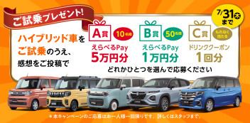 今月からは。。。？