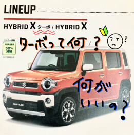 スズキ新入社員のギモン？！