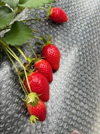 ひさびさの・・・