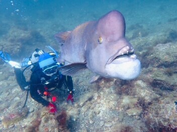 愛車無料点検実施中！！