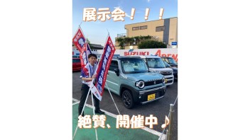 ６月１５と１６日は展示会♪